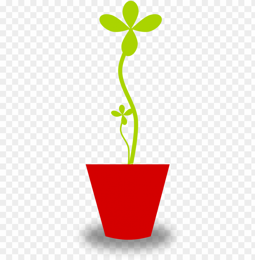 ot plant clipart transparent - cartoon potted plant translucent background  PNG image with transparent background | TOPpng