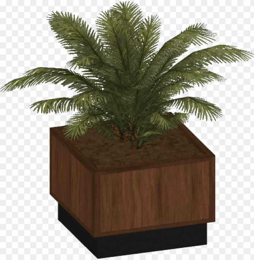 pot, tropical plants, wooden, aquatic plants, tree, sea plants, texture