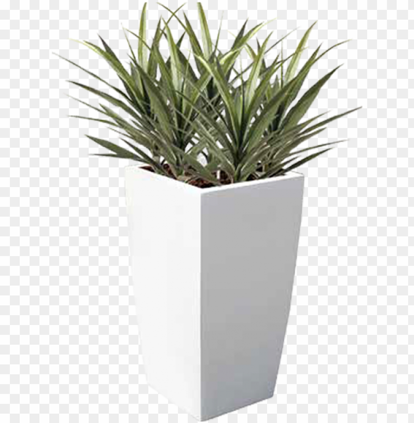Our Choice Is Extensive Featuring Over A Thousand - Flowerpot PNG Transparent With Clear Background ID 444358