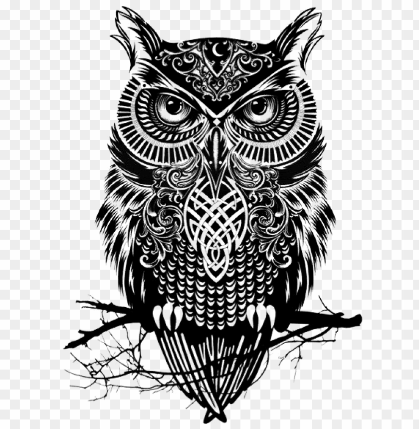 Owl Art Png - Owl Art Black And White PNG Image With Transparent Background