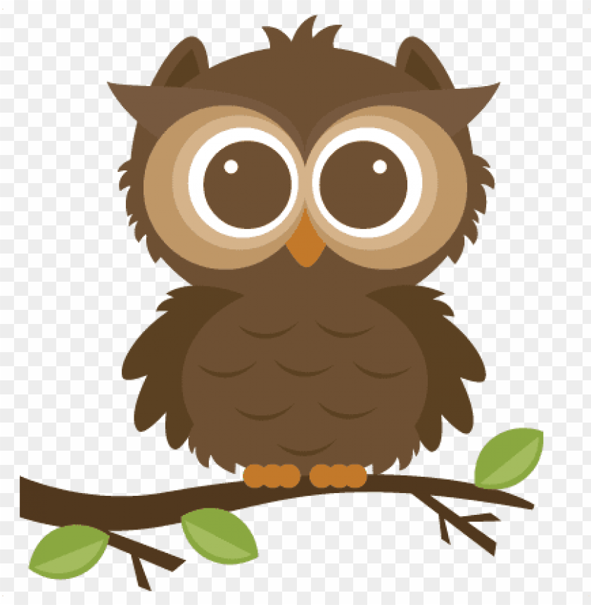 Free Owl Clipart Image