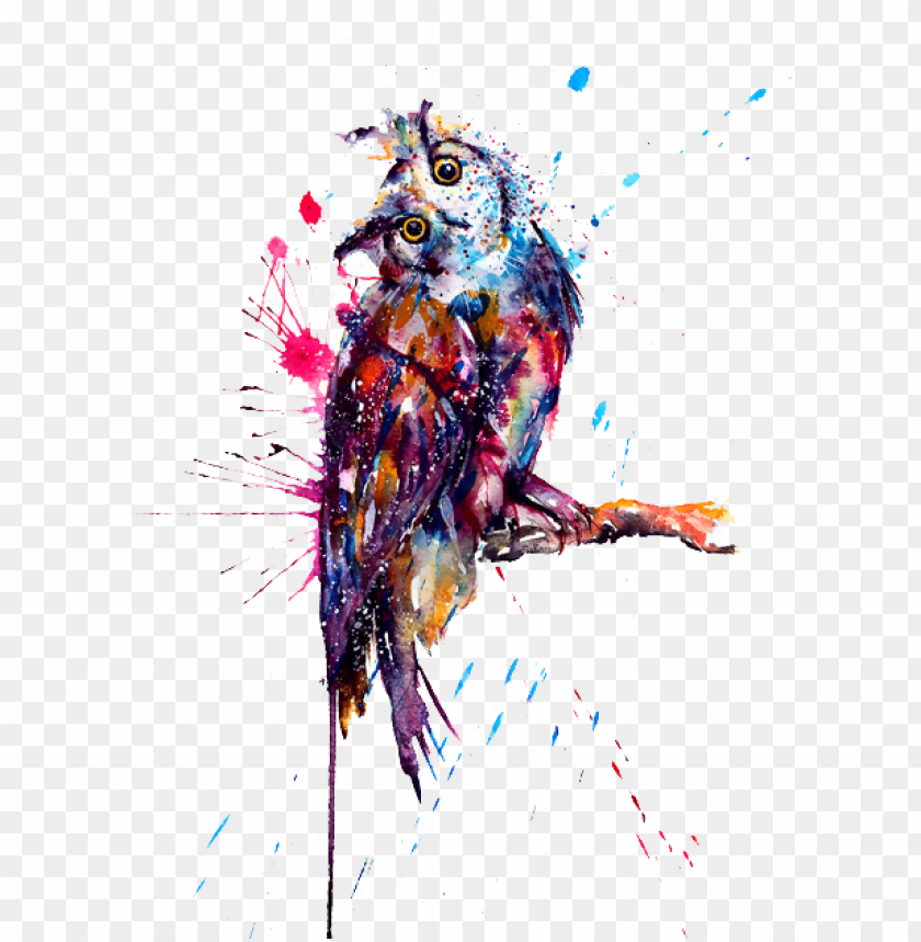 bird, frame, pattern, wallpaper, tattoo, poster, square