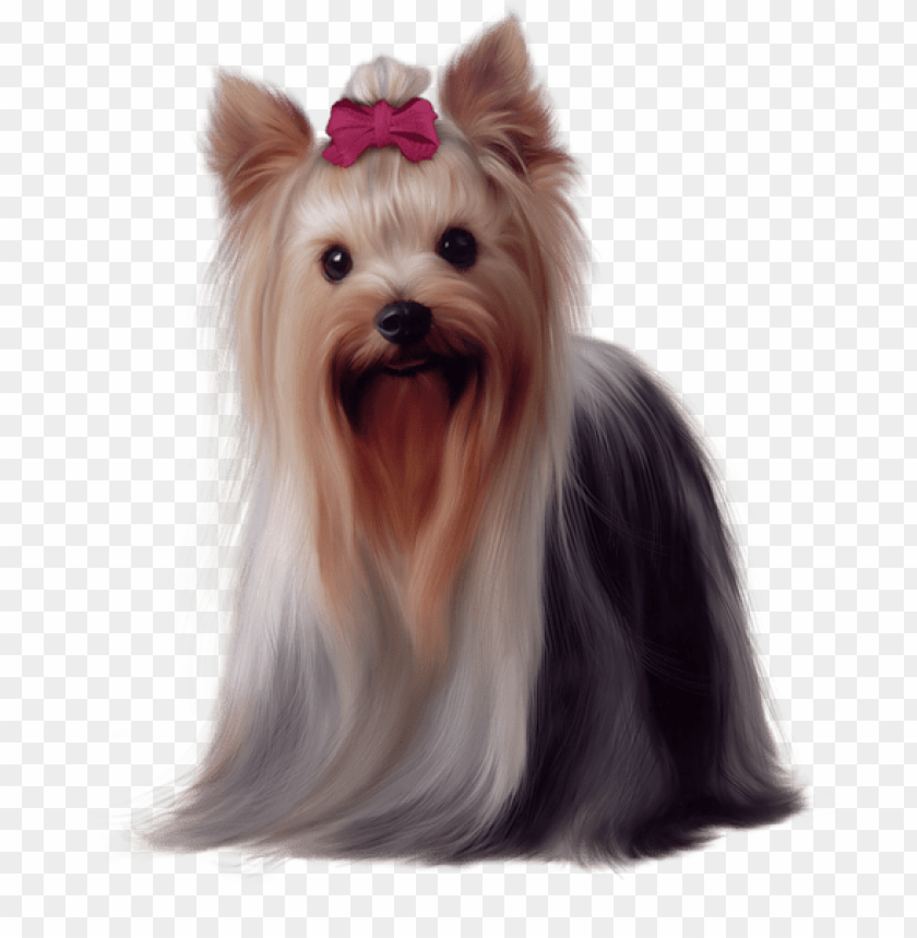 Download Painted Yorkshire Terrier Png Images Background | TOPpng