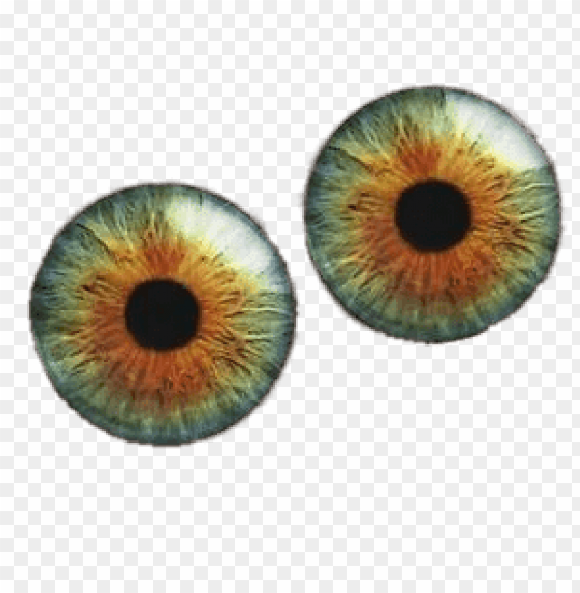 people, eyeballs, pair of colourful eyeballs, 