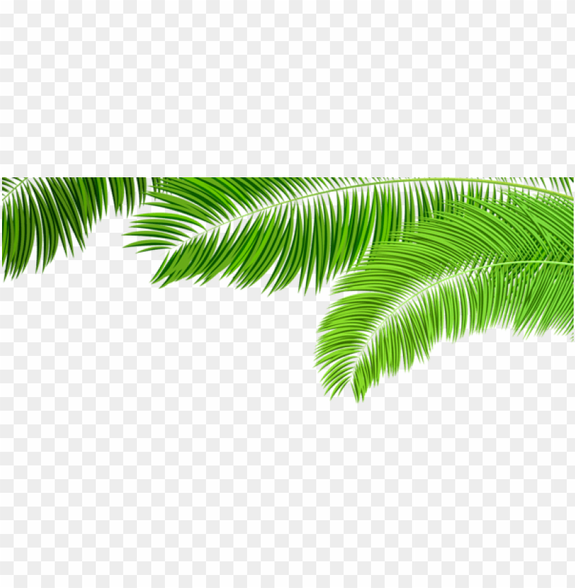 palm branches decoration