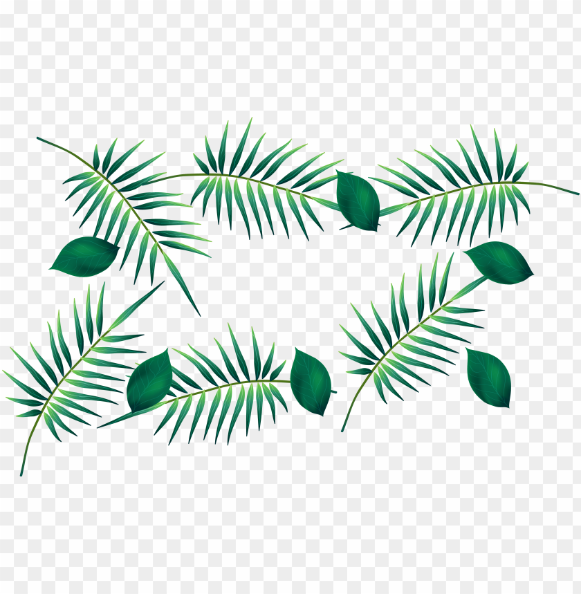 free PNG palm leaf watercolour transparent PNG image with transparent background PNG images transparent