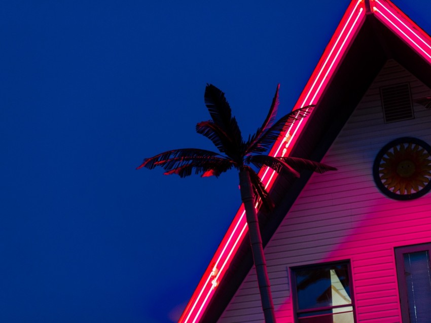 palm, roof, neon, backlight, red
