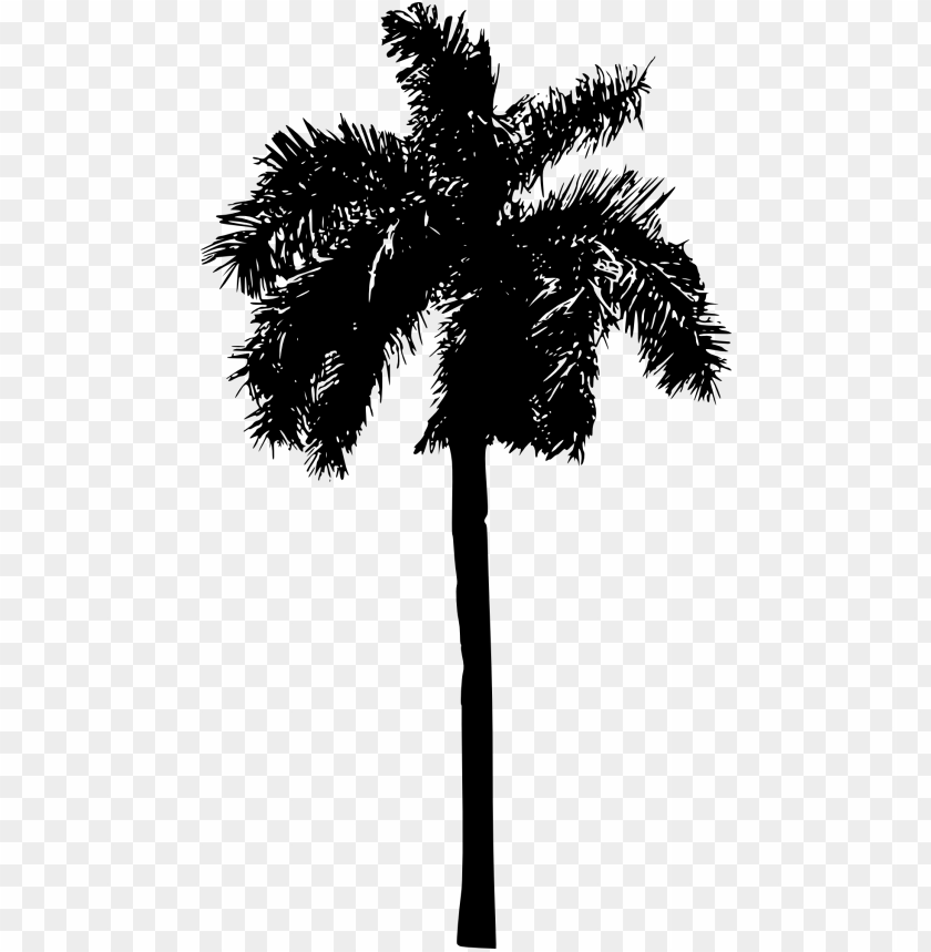 Transparent palm tree PNG Image - ID 4216