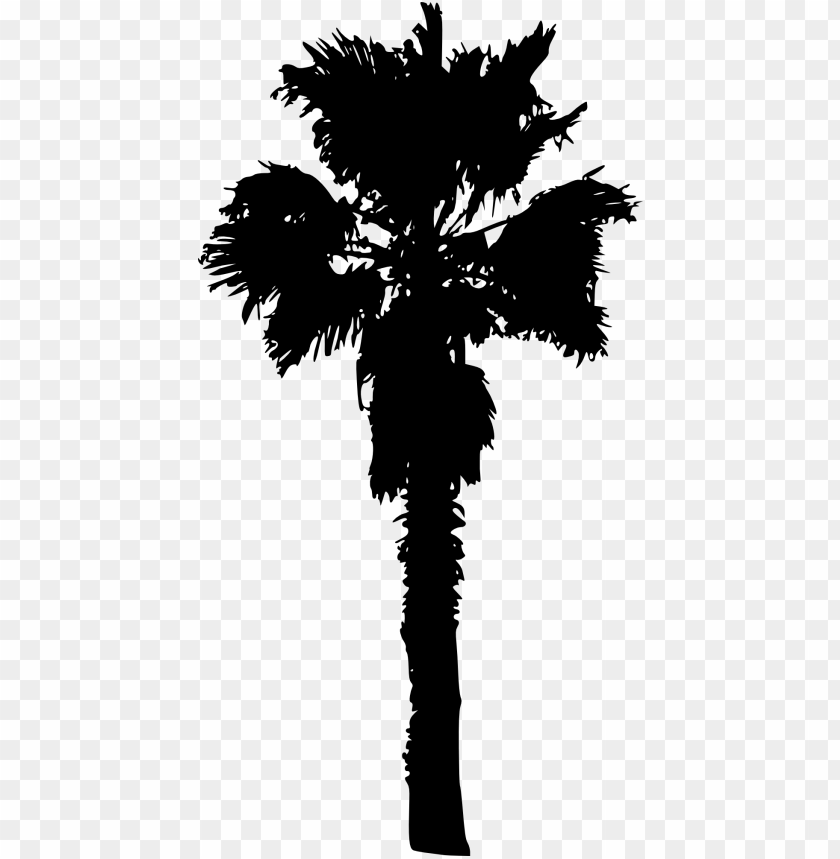 Transparent palm tree PNG Image - ID 4225