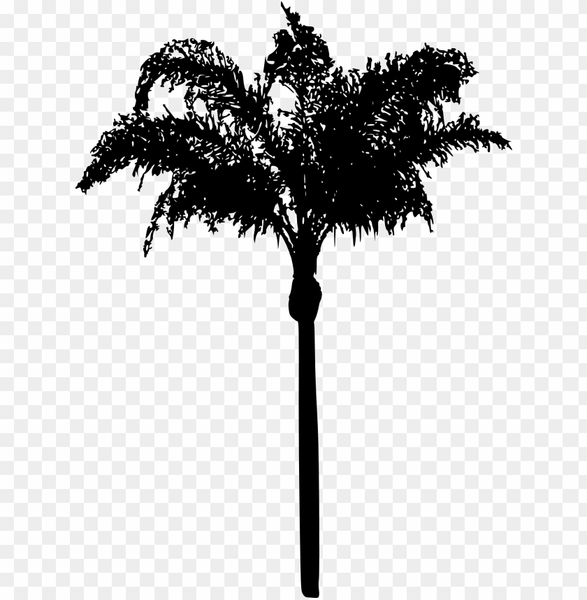 Transparent palm tree PNG Image - ID 4226