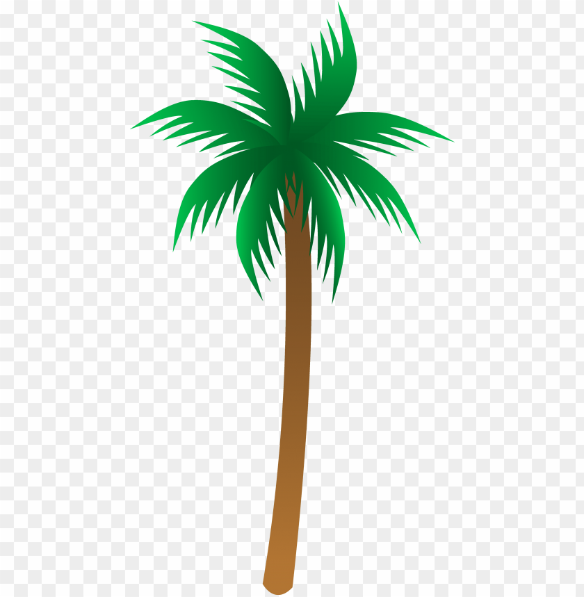 palm tree clipart png photo - 28678