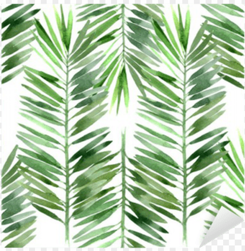 palm tree leaves, palm tree leaf, palm leaves, tree leaves, palm tree silhouette, palm tree vector