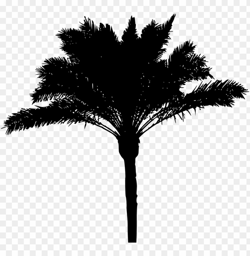 Transparent Palm Tree Silhouette PNG Image - ID 3429 | TOPpng