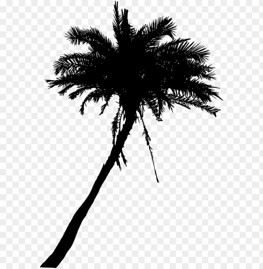 Transparent Palm Tree Silhouette PNG Image - ID 3431 | TOPpng