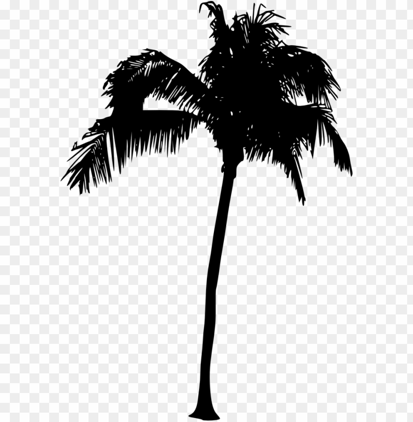 Transparent palm tree silhouette PNG Image - ID 3430