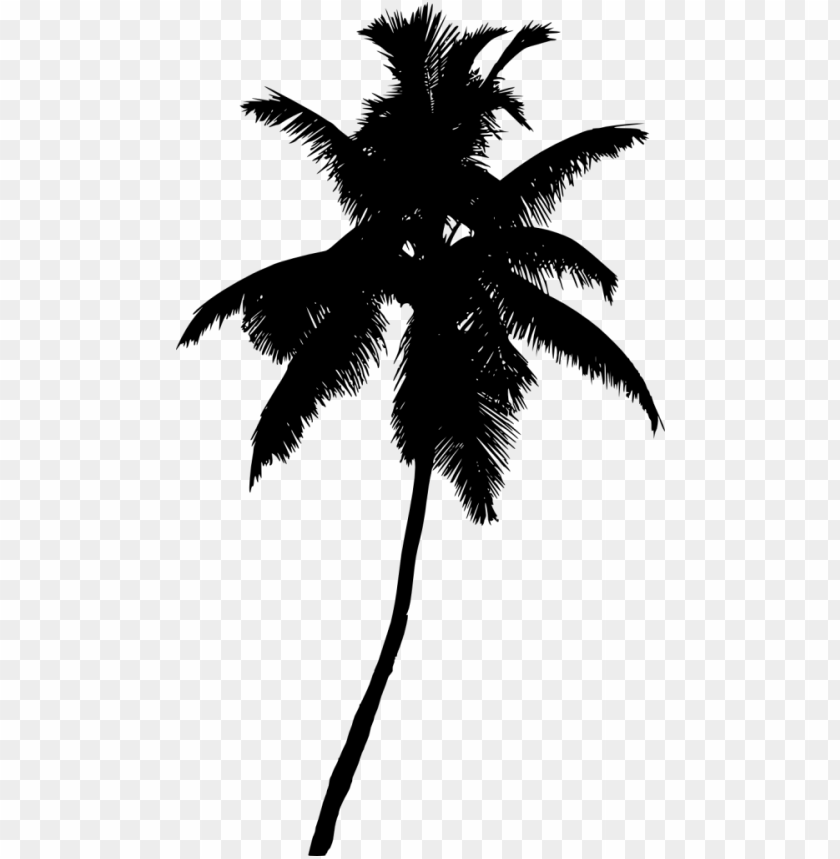 Transparent palm tree silhouette PNG Image - ID 3433