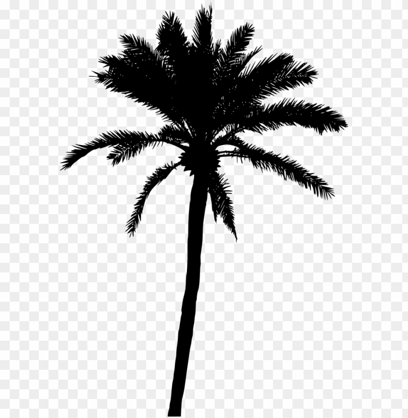 Transparent Palm Tree Silhouette PNG Image - ID 3434 | TOPpng