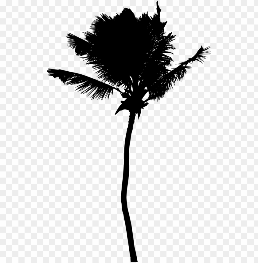 Transparent palm tree silhouette PNG Image - ID 3437