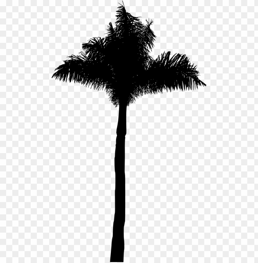 Transparent palm tree silhouette PNG Image - ID 3443