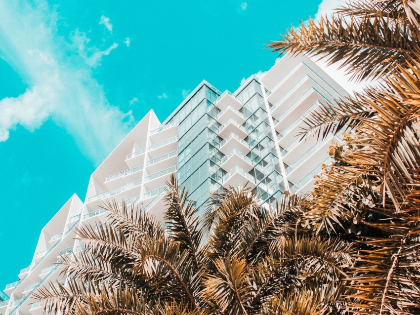 palm trees, building, tropics, sky, bottom view