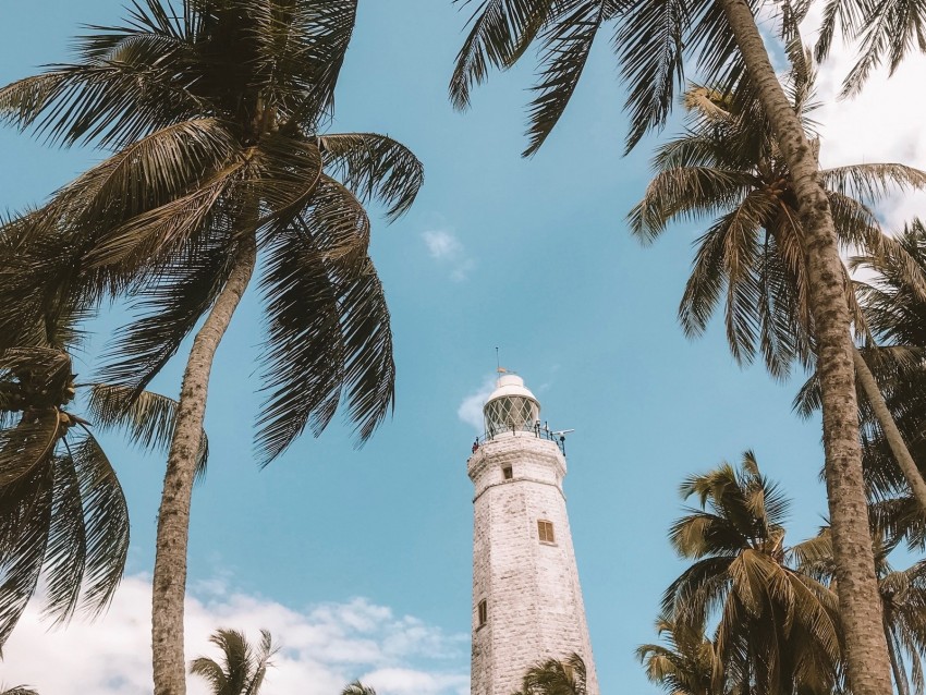 palm trees, lighthouse, sky, tropics, wind