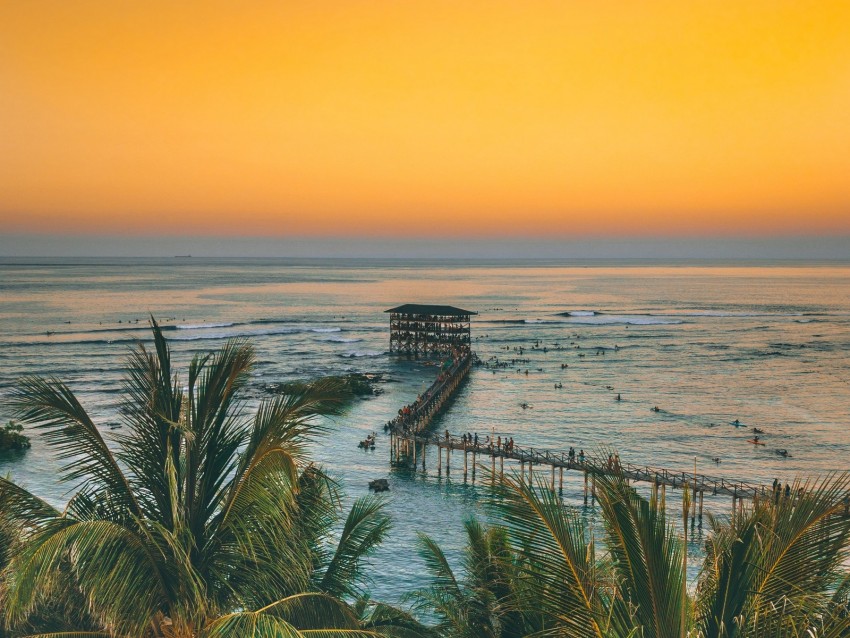 palm trees, ocean, sunset, pier, building
