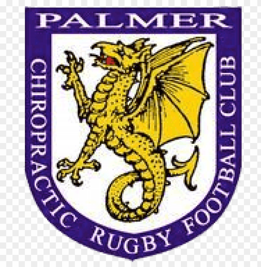 sports, rugby usa, palmer college dragons rugby logo, 