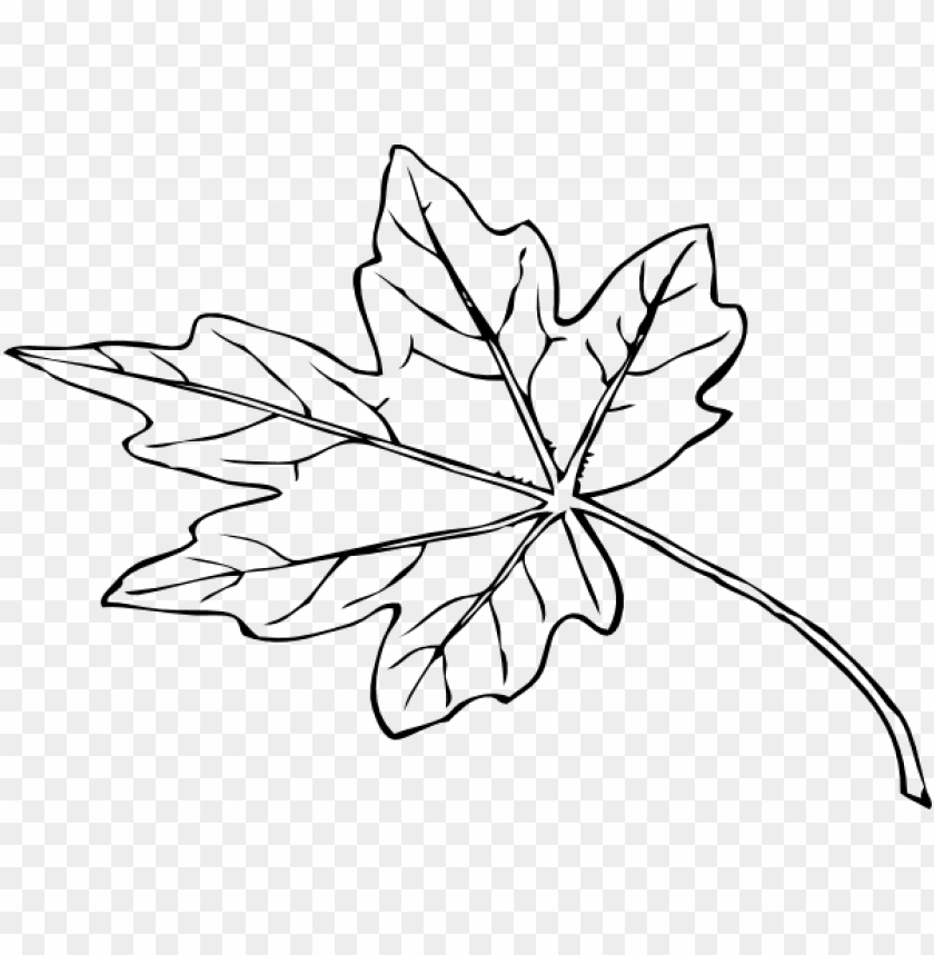 leaf outline, fall leaf, leaf crown, green leaf, leaf clipart, pot leaf