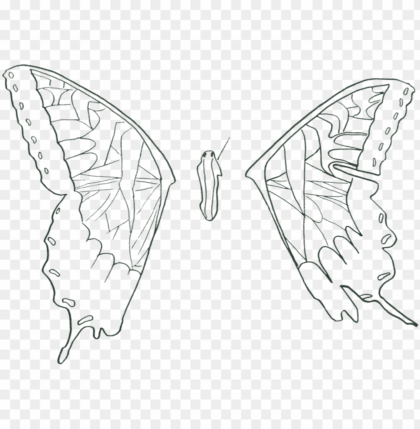 Paramore Brand New Eyes PNG Transparent With Clear Background ID