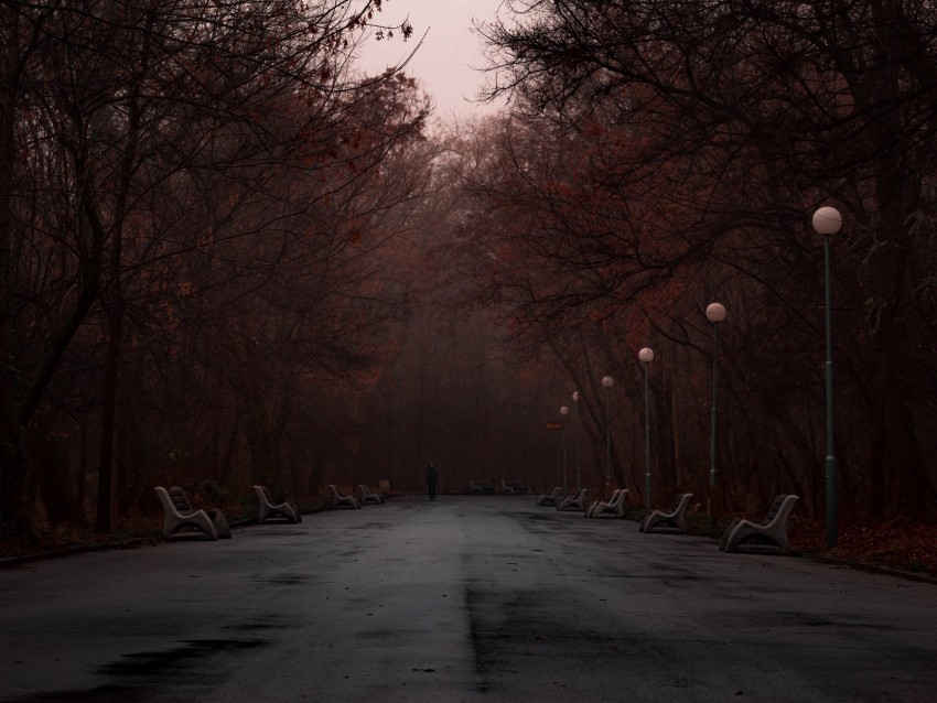 park, fog, silhouette, trees