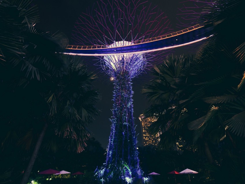 park, landscape design, palm trees, scenery, singapore