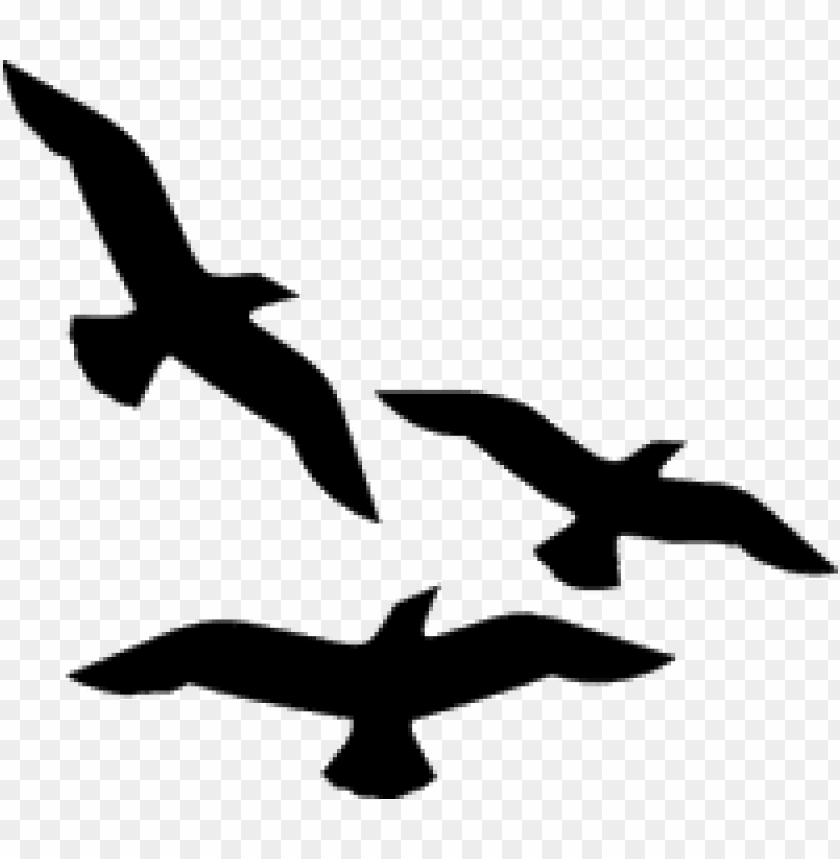 Featured image of post Passaros Voando Desenho Png Birds flying green screen effect chroma key p ssaros voando fundo verde pantalla verde