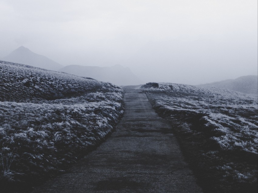 path, fog, frost, snow