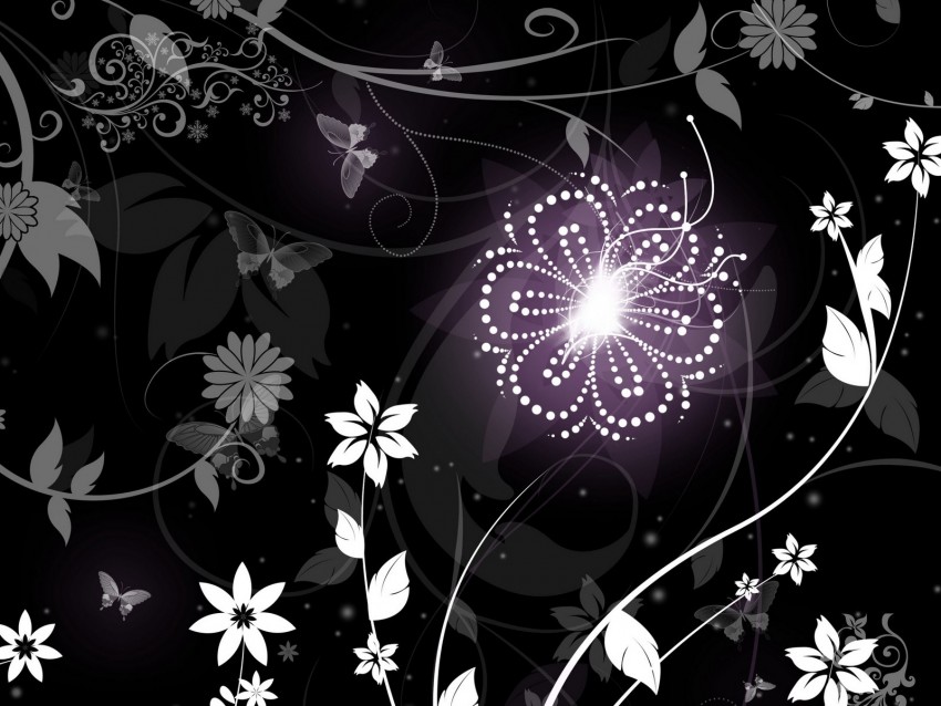 patterns, flowers, vector, shine