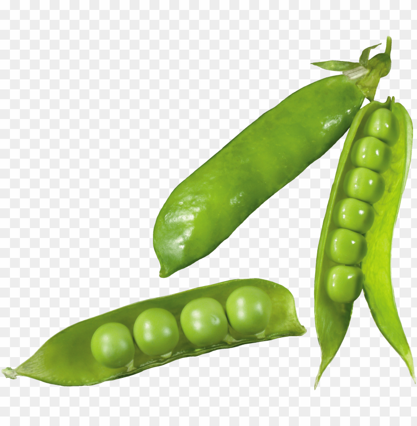 pea PNG images with transparent backgrounds - Image ID 11225