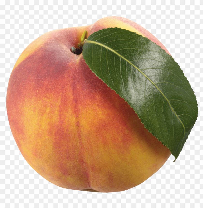 peach with leaf clipart png photo - 33507