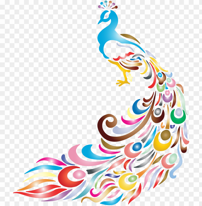 peacock design vector