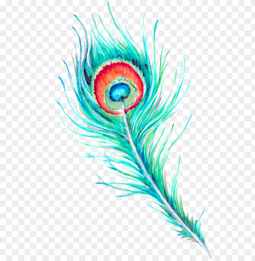 peacock feather watercolor free PNG image with transparent background |  TOPpng