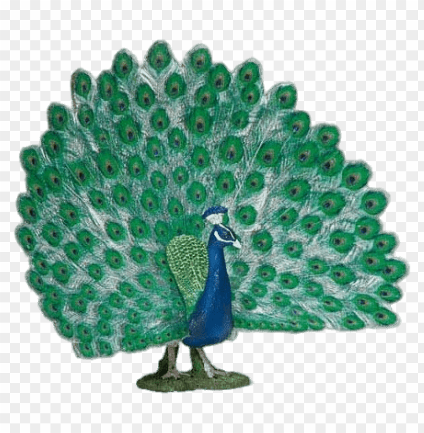 animals, birds, peacocks, peacock with open tail figurine, 