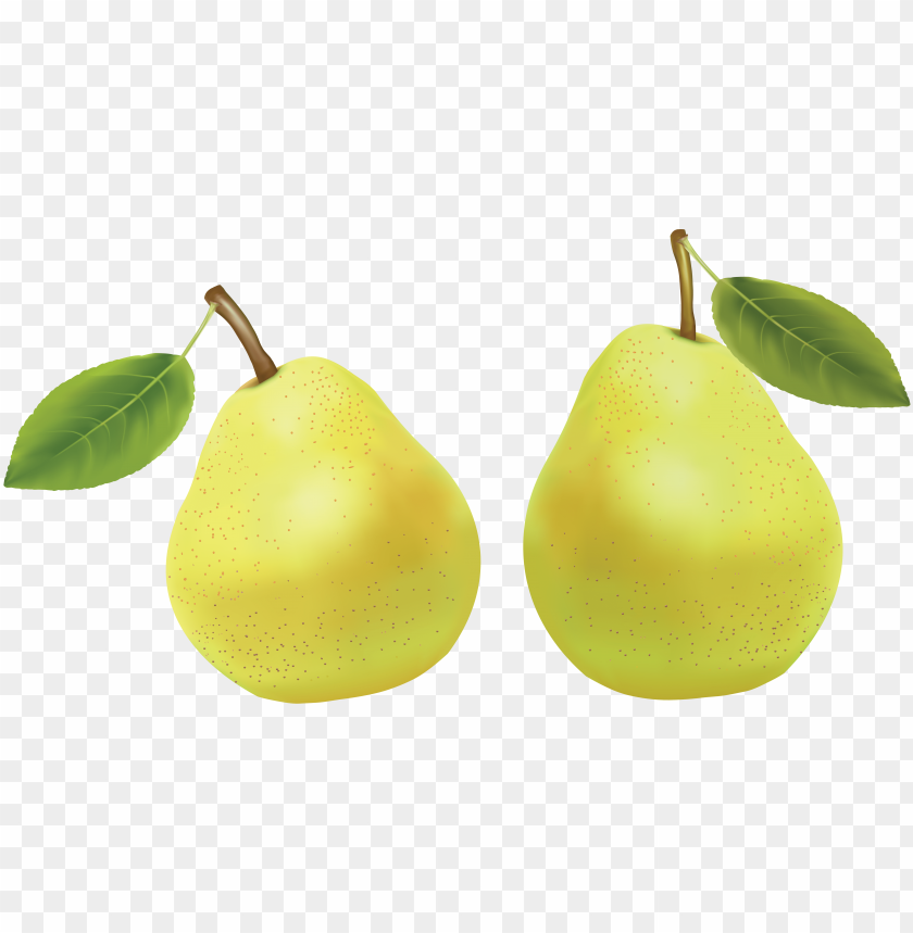 
pear
, 
genus pyrus
, 
pomaceous fruit
, 
edible fruit
