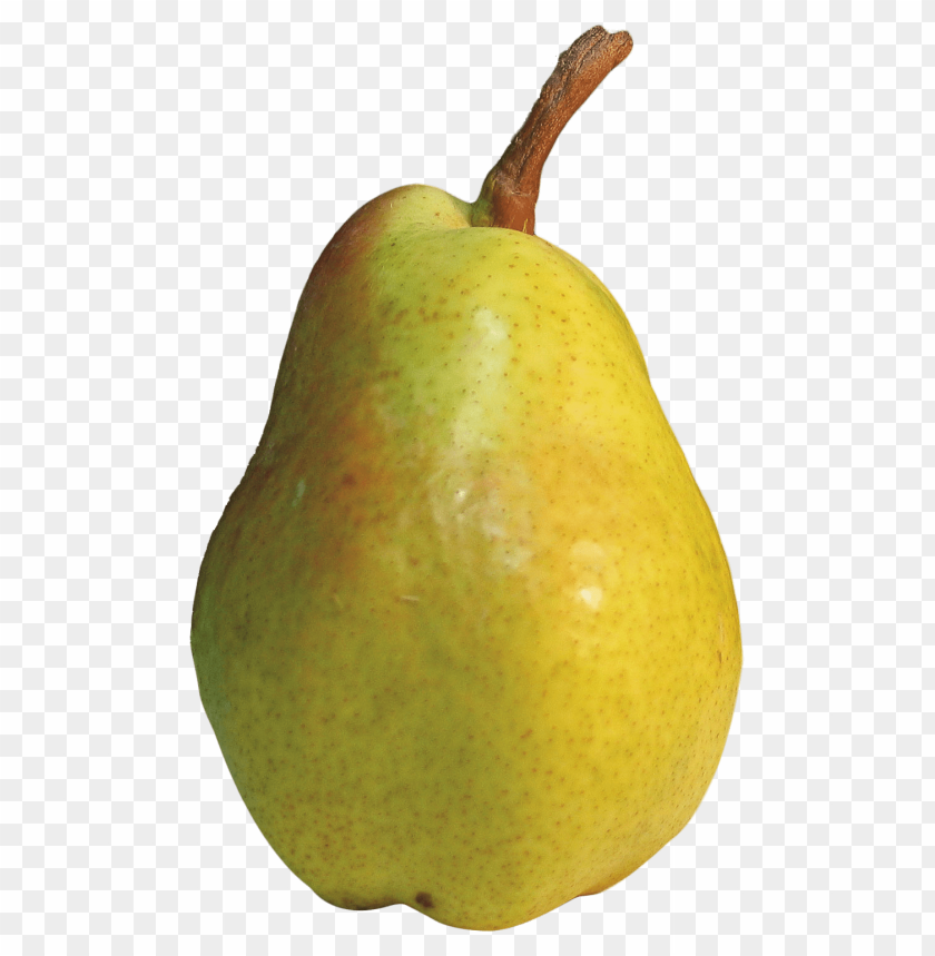 Pear Fruit Green PNG Images With Transparent Backgrounds - Image ID 13462
