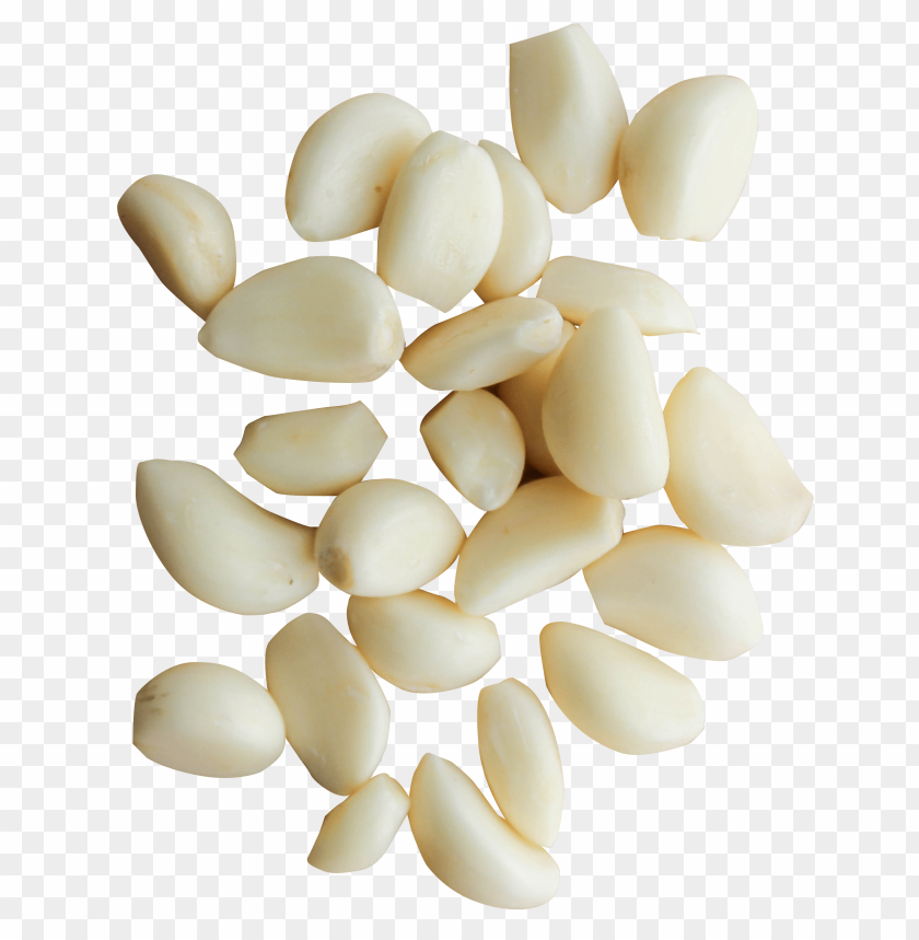 free PNG Download peeled garlic cloves png images background PNG images transparent