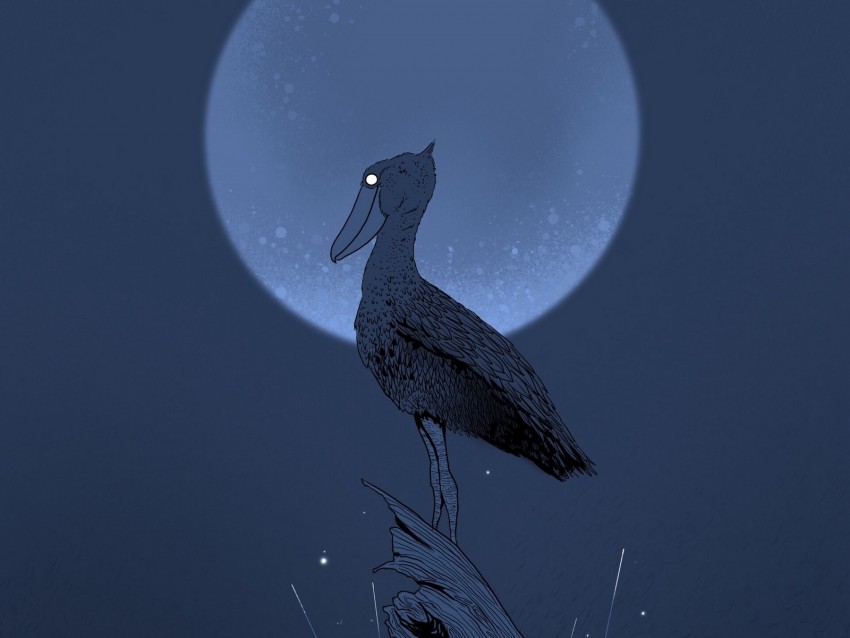 pelican, stump, night, moon, bird, art