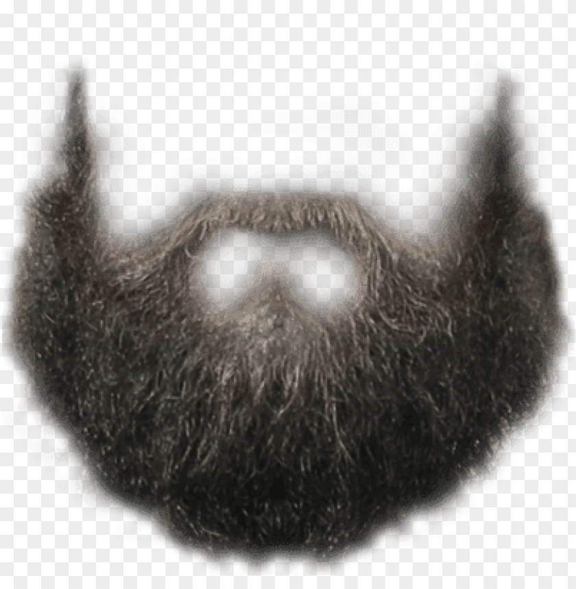 people, beards, perfect hipster beard, 
