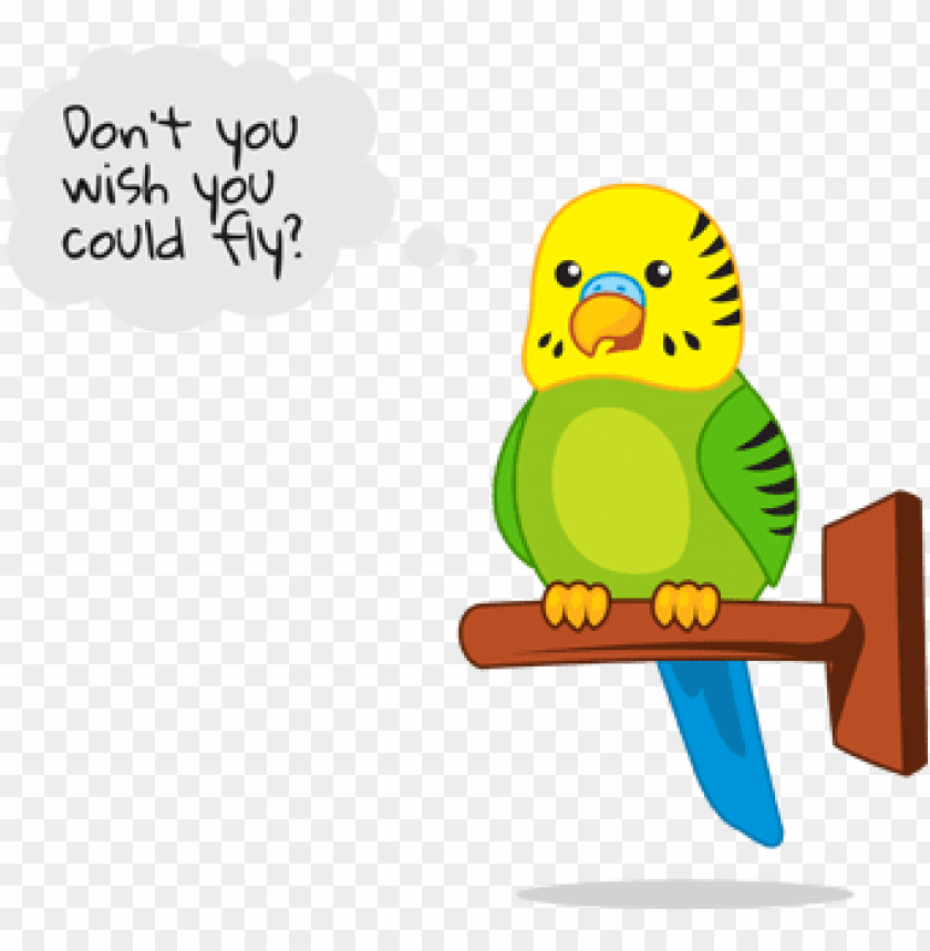 pet bird cartoon PNG transparent with Clear Background ID 89690