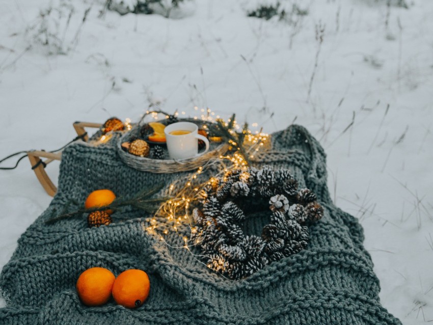 picnic, winter, christmas, comfort, mood, forest, snow