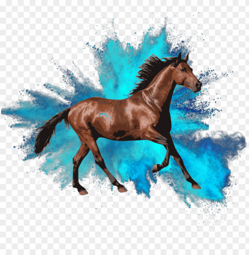 horses, fl studio logo, for picsart, effects for picsart, studio, studio microphone
