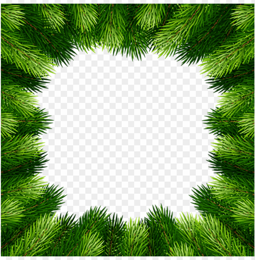 pine branches border frame PNG Images 41414
