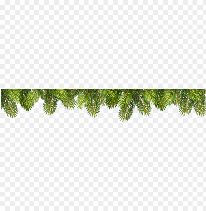 pine branches png PNG Images 41058