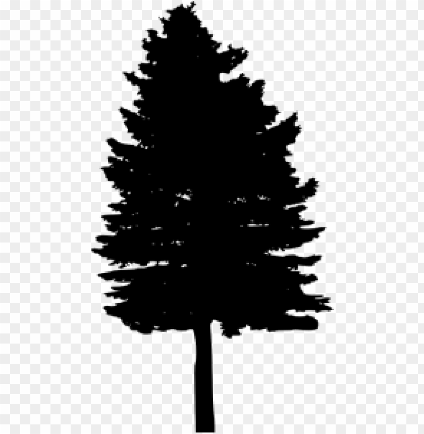 Transparent Pine Tree Silhouette PNG Image - ID 3883 | TOPpng